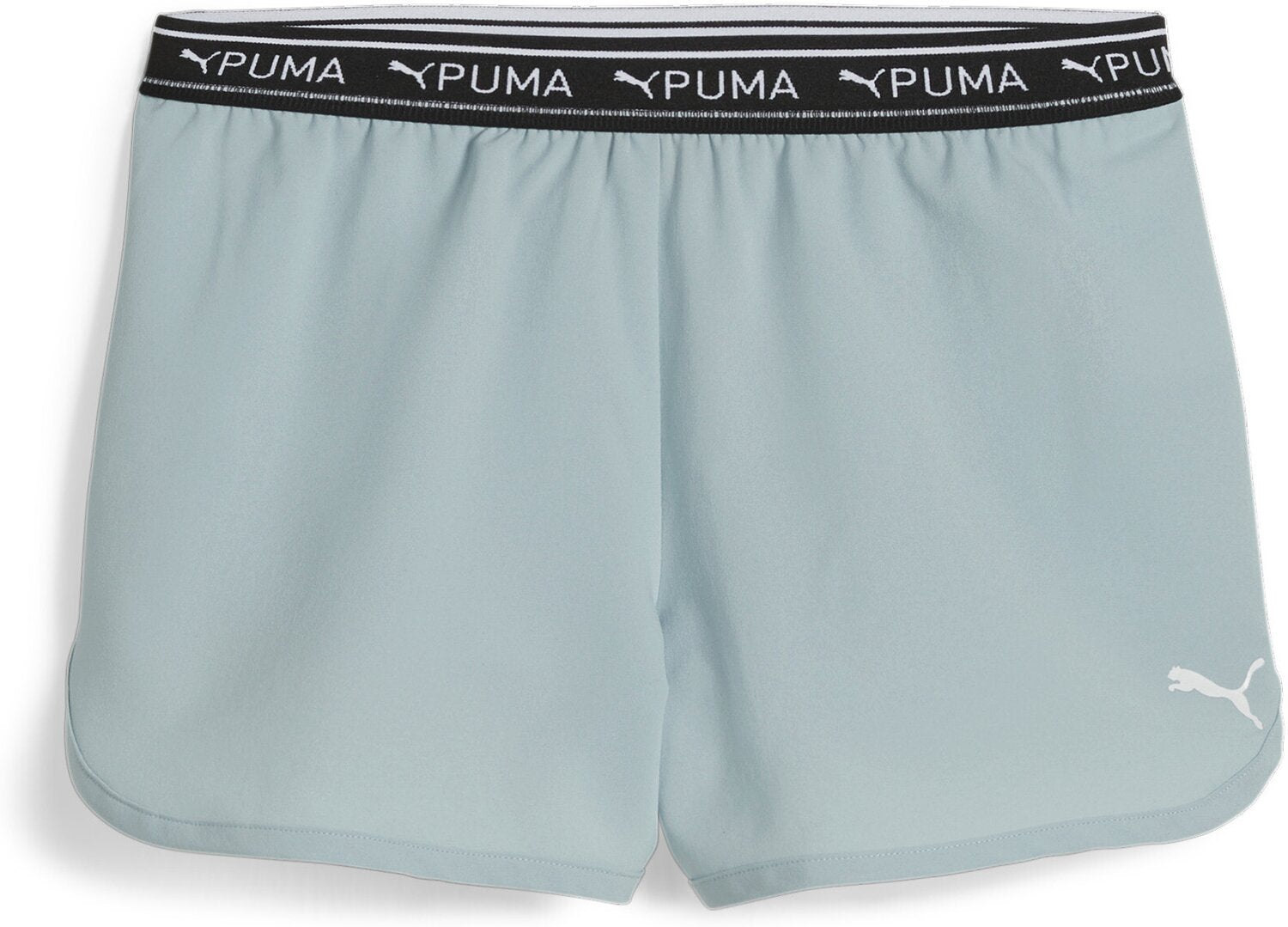 Puma Shorts  hellblau