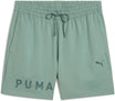 Puma Shorts  grün