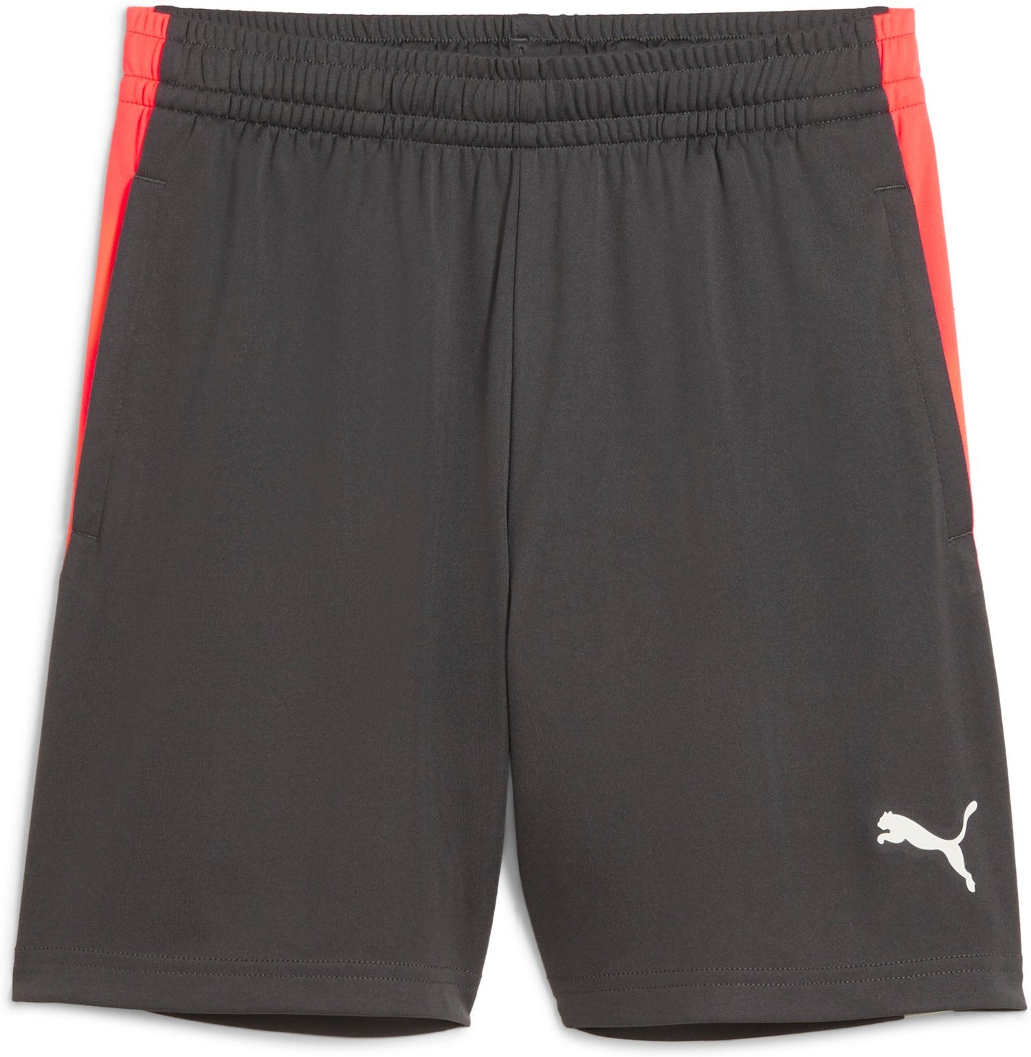 Puma Shorts  grau