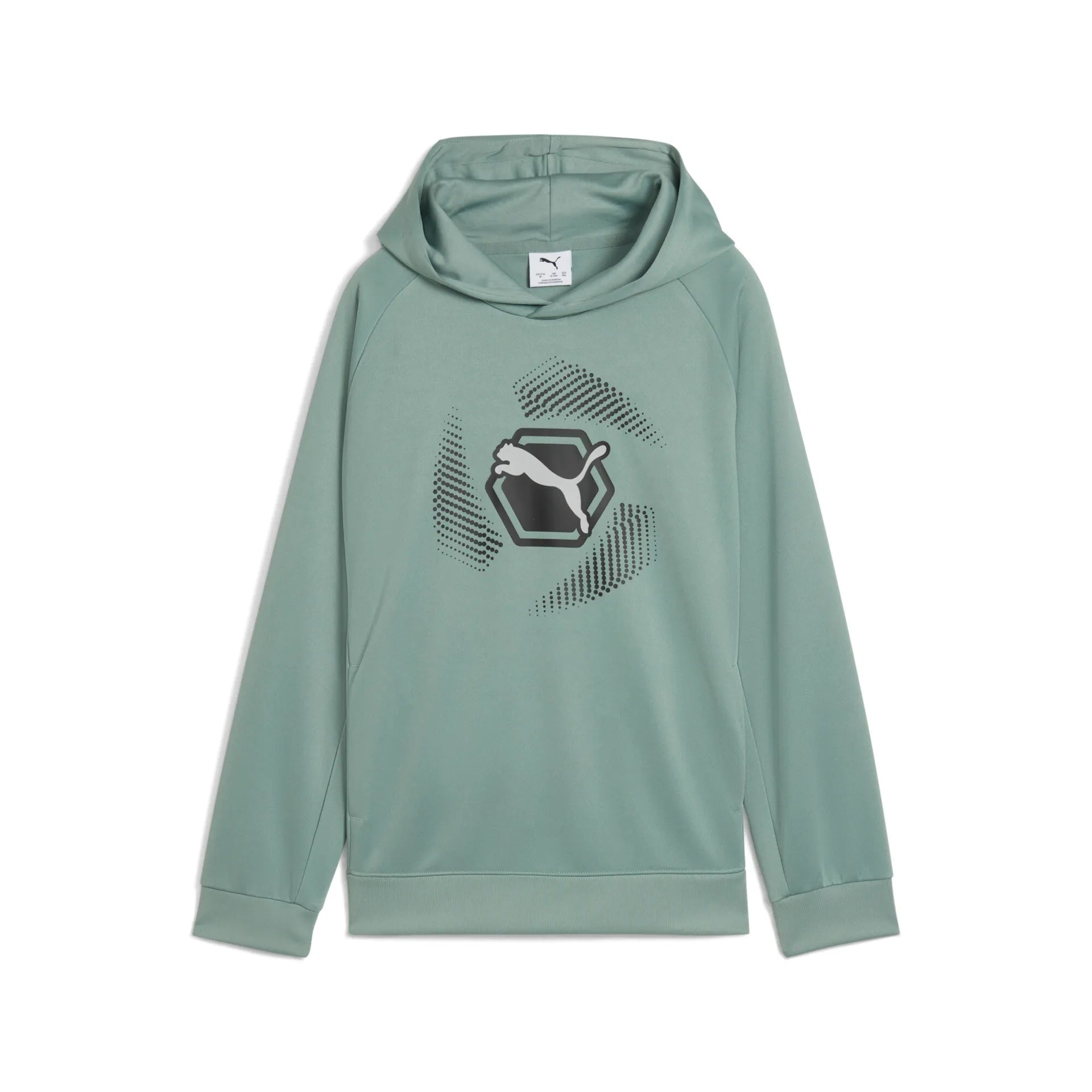 Puma Sweatshirts  grün