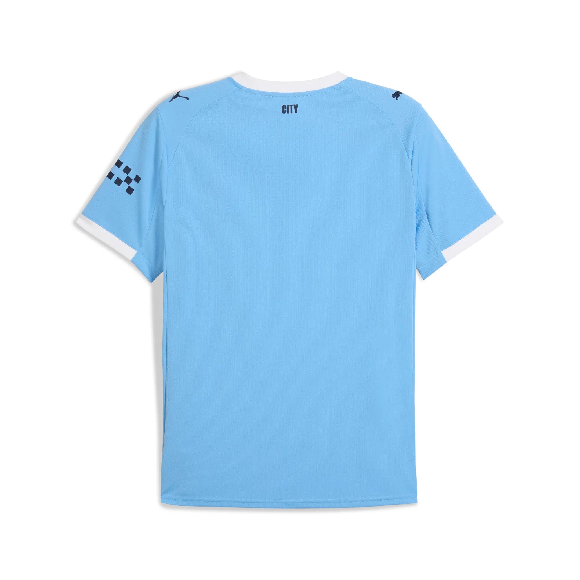 Puma Trikots  hellblau
