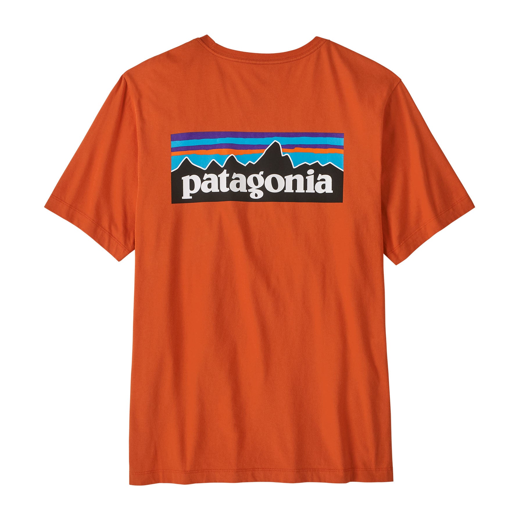 patagonia T-Shirts  orange