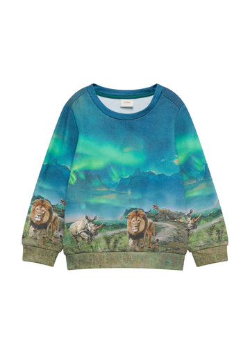 Sweatshirt mit All-over-Print