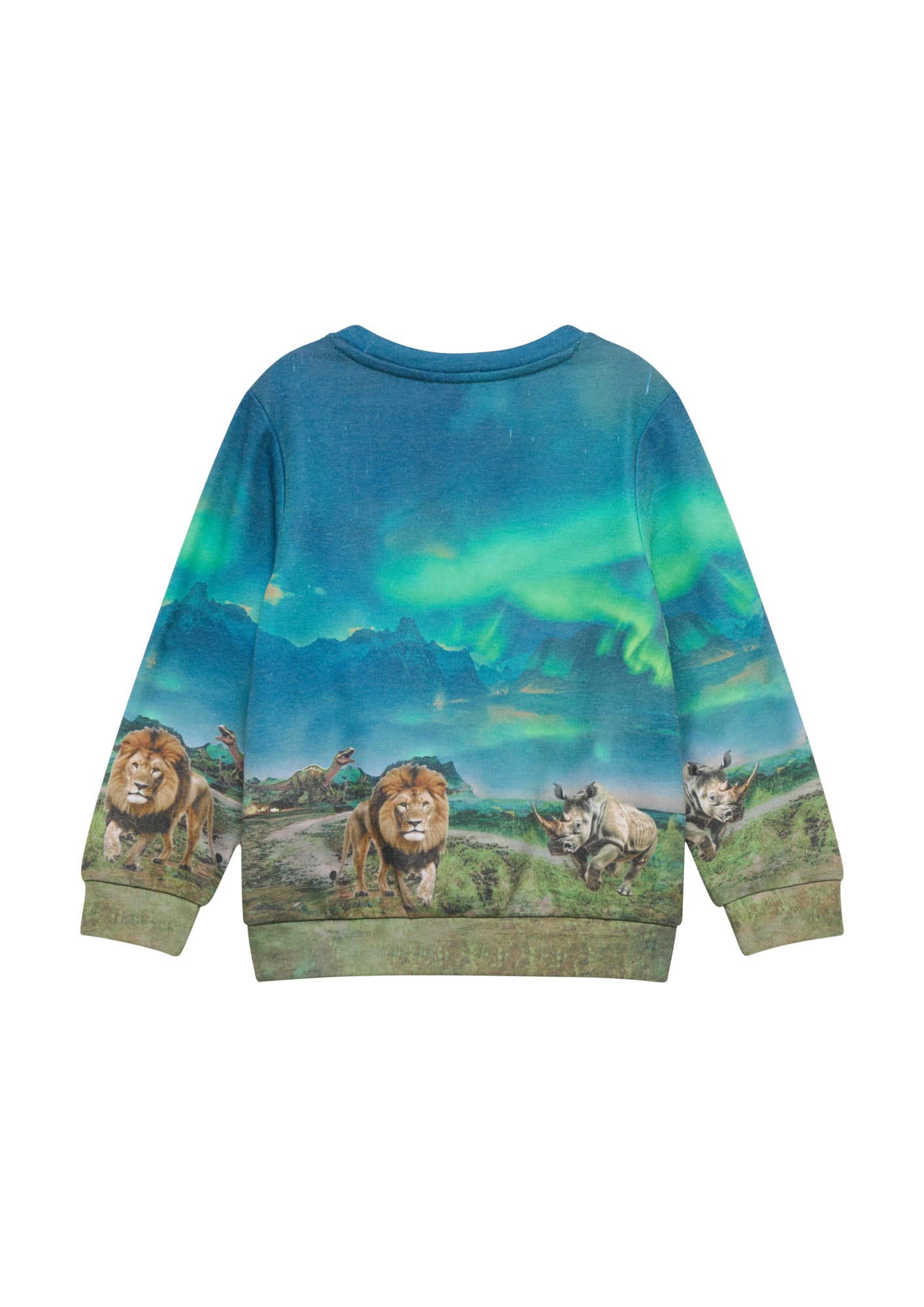 s.Oliver Pullis & Hoodies  blau