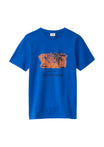 s.Oliver Shirts & Hemden  blau